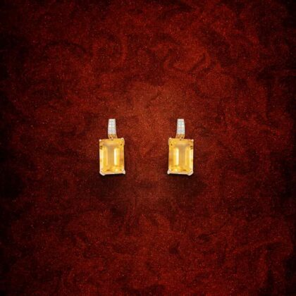 Gemstone Earring ER00949